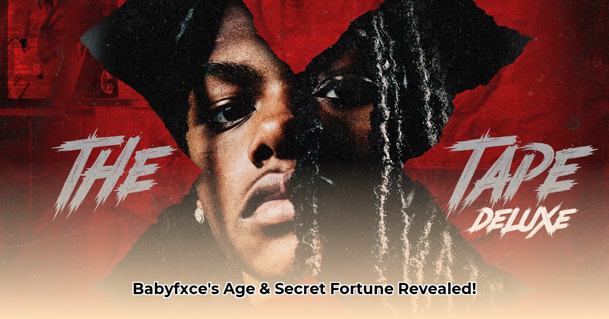 babyfxce-e-age-net-worth